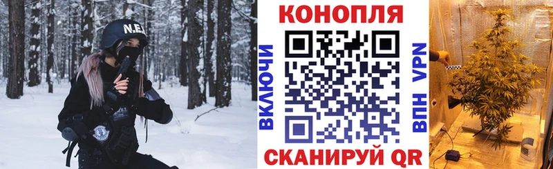 Конопля планчик  Кстово 